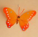 Orange Panduro Butterfly
