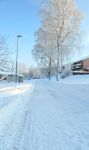 Snowy path